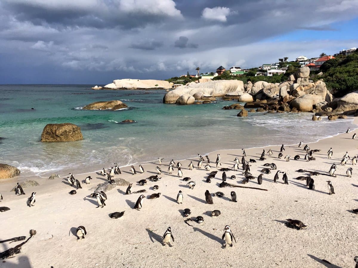 Unbelievable hiking and wine in Cape Town!