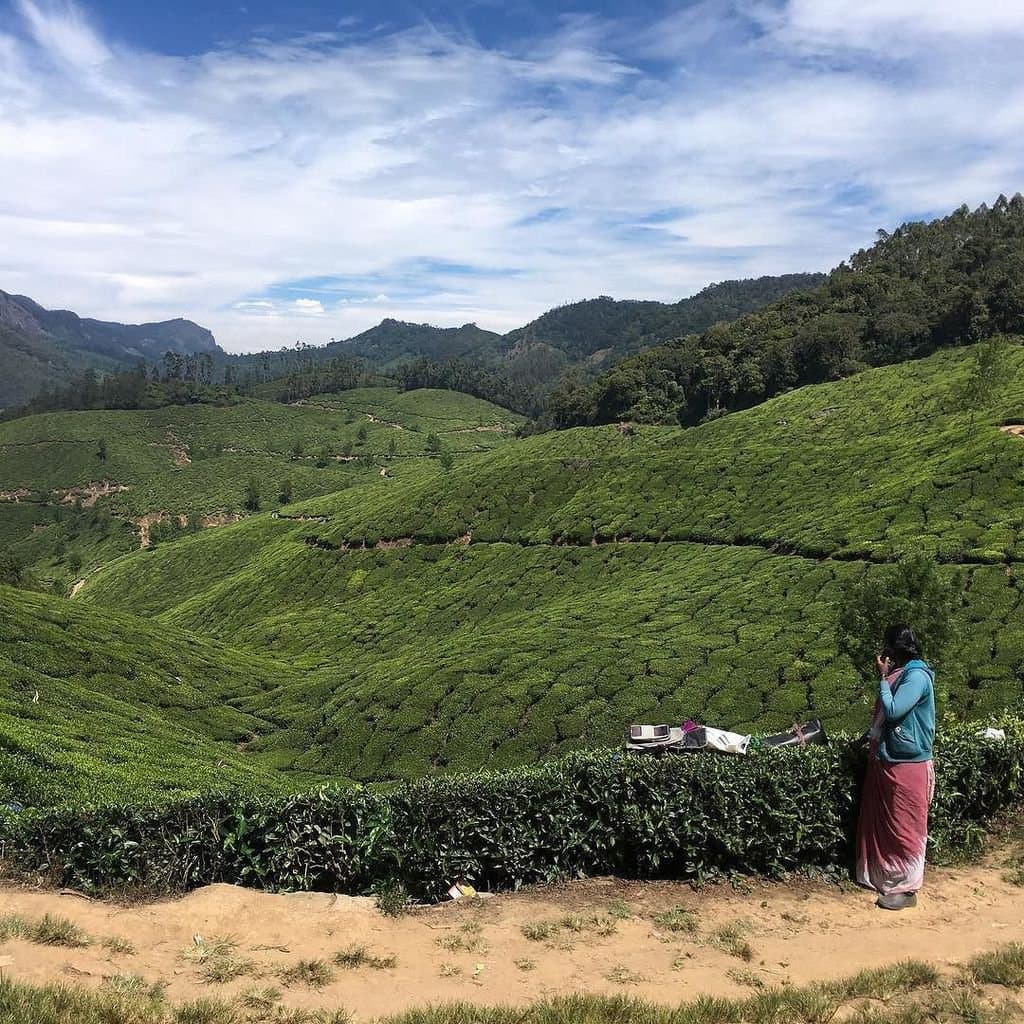 Visiting family and exploring South India!
